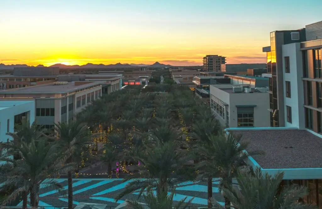 City skyline and palm trees in Scottsdale, Arizona