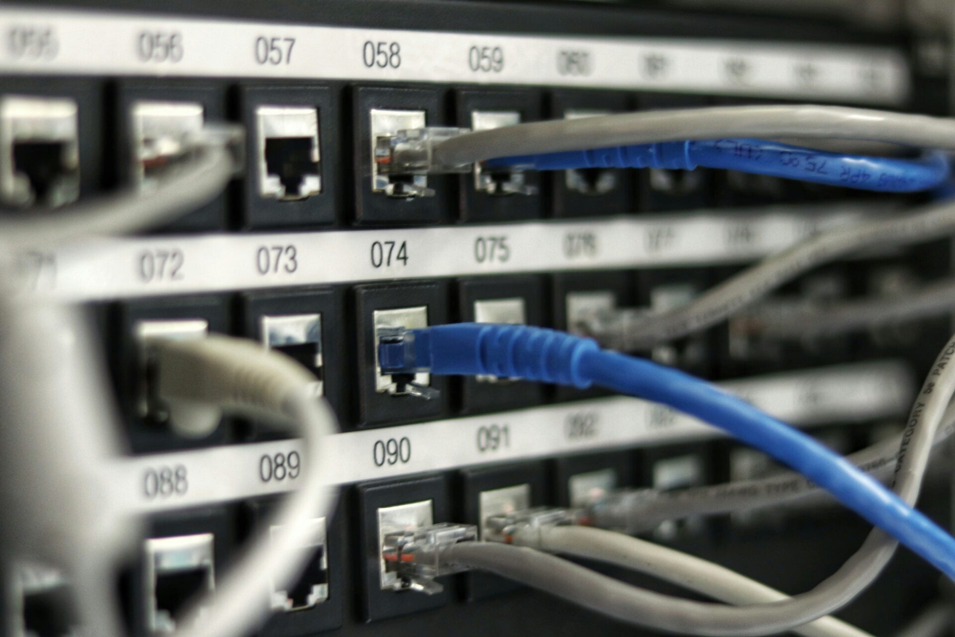 Closeup of ethernet cables in a server