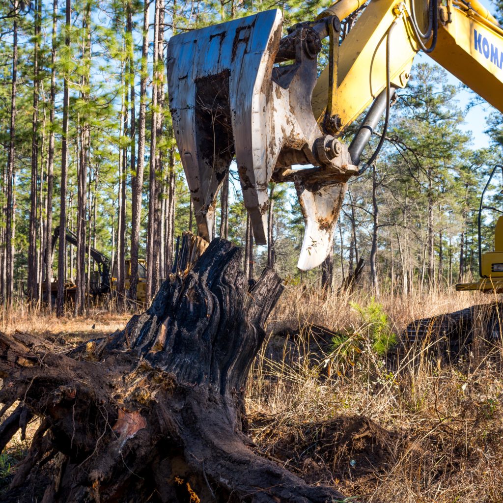 Heavy machinery removing a tree stump in a forest