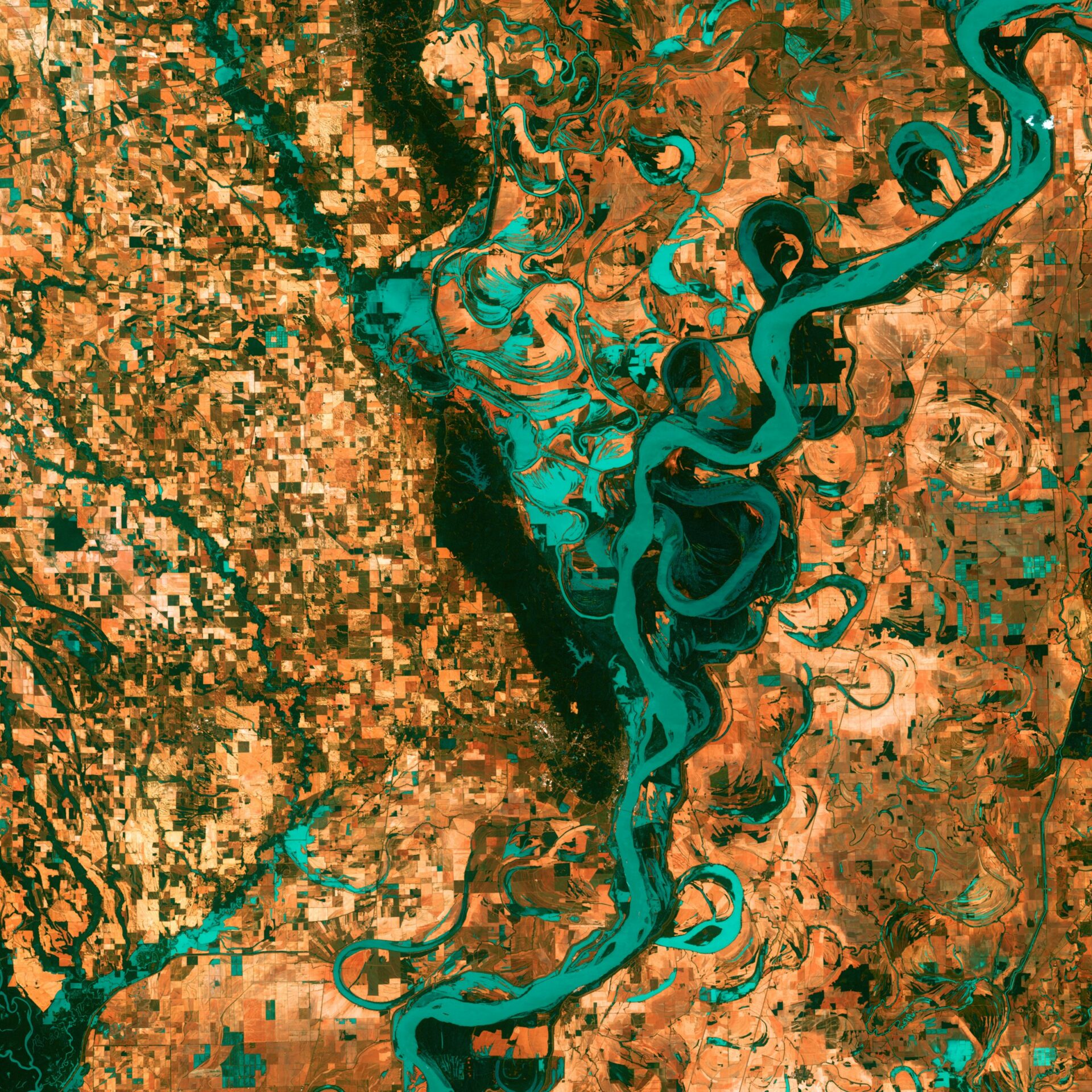 Satellite image of the Mississippi river between Tennessee and Arkansas